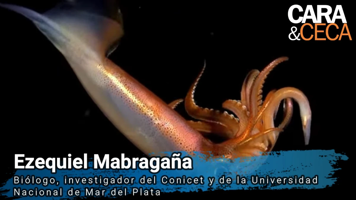 Investigadores del CONICET exploran el Mar Argentino: “Nos da mucho orgullo lo que estamos haciendo”