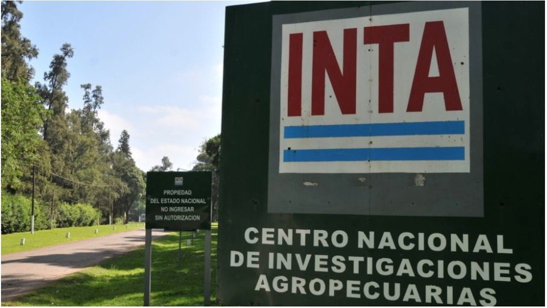 El gobierno planea desguazar el INTA: “Peligra la territorialidad del organismo”