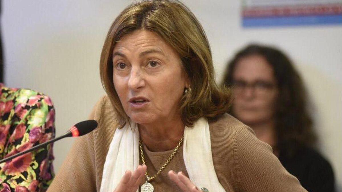 Fregonese: “Ante todo se deben defender los derechos de la Provincia”