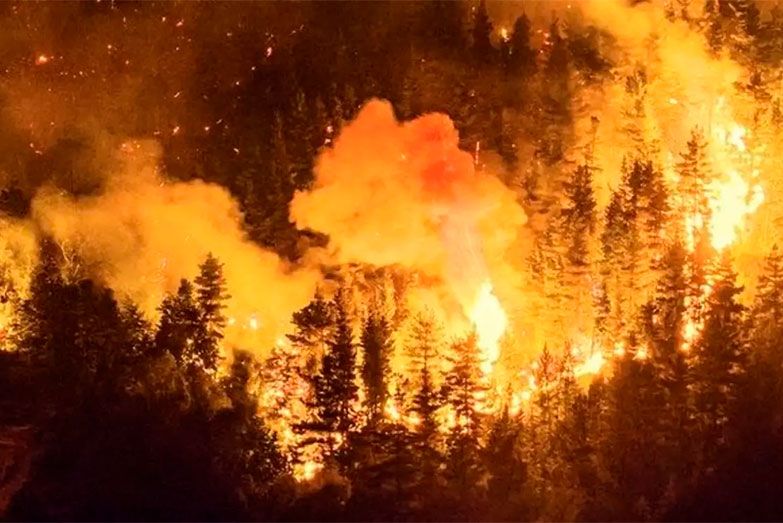 Tras la presión de los gobernadores, el Gobierno declaró la Emergencia Ígnea en la Patagonia