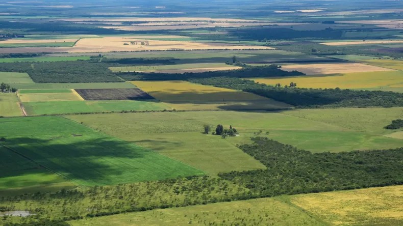 Cambios en la Ley de Tierras: "Es la pérdida de territorio a manos de grandes corporaciones"